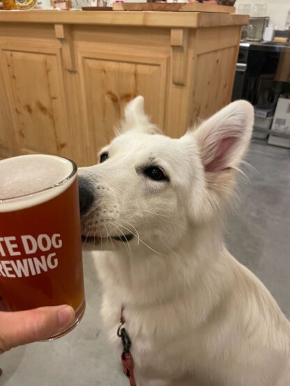 WHITE DOG BREWING