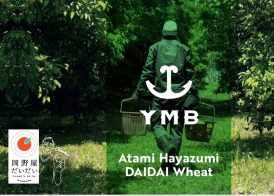 Atami-Hayazumi-DAIDAI-Wheat　「熱海の早摘みダイダイWheta Ale」YMB