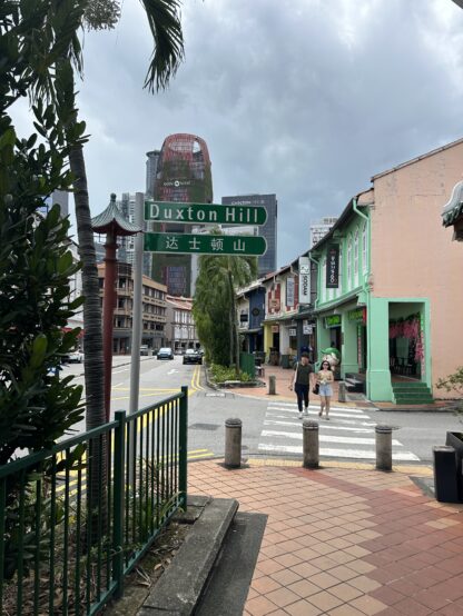 SGTaps周辺のDuxton Hillの街並み